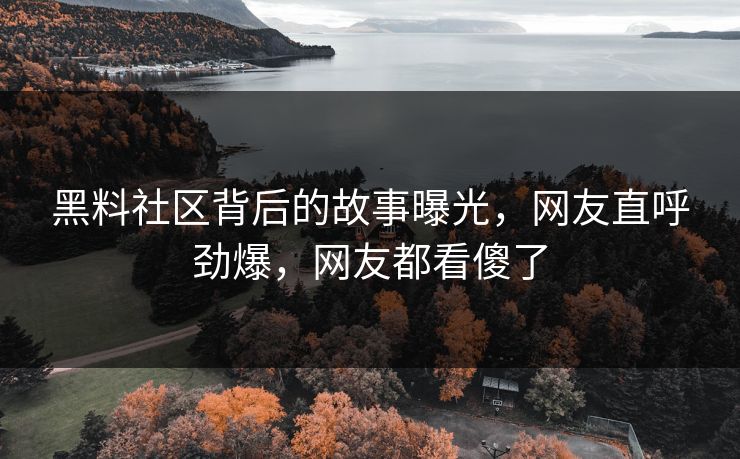 黑料社区背后的故事曝光，网友直呼劲爆，网友都看傻了