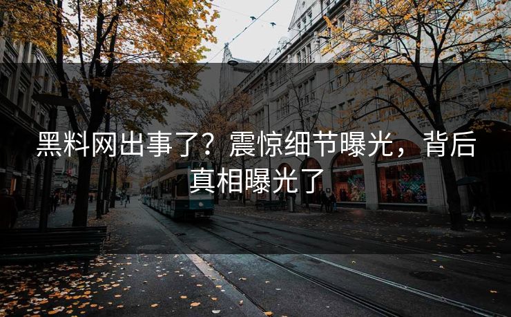 黑料网出事了？震惊细节曝光，背后真相曝光了