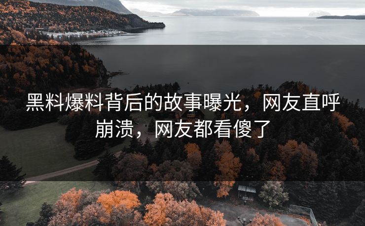 黑料爆料背后的故事曝光，网友直呼崩溃，网友都看傻了