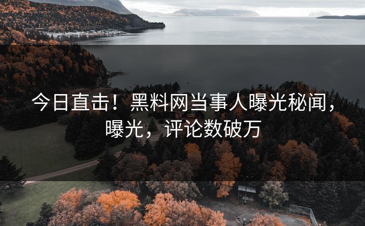今日直击！黑料网当事人曝光秘闻，曝光，评论数破万  第1张