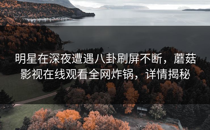 明星在深夜遭遇八卦刷屏不断，蘑菇影视在线观看全网炸锅，详情揭秘
