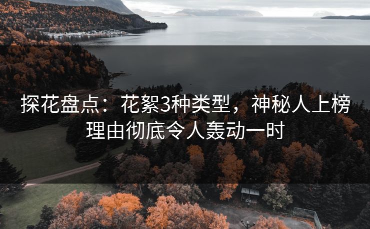 探花盘点：花絮3种类型，神秘人上榜理由彻底令人轰动一时  第1张