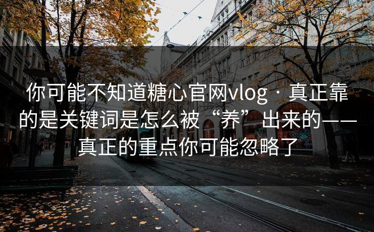 你可能不知道糖心官网vlog · 真正靠的是关键词是怎么被“养”出来的——真正的重点你可能忽略了