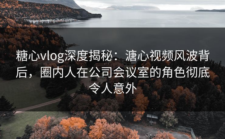 糖心vlog深度揭秘：溏心视频风波背后，圈内人在公司会议室的角色彻底令人意外  第1张